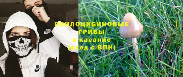 спиды Алексеевка