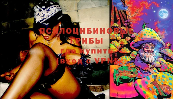спиды Алексеевка