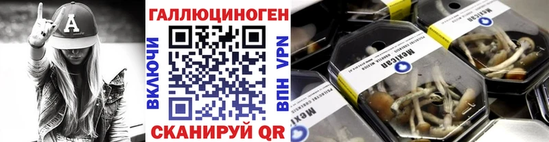 Псилоцибиновые грибы Magic Shrooms  МЕГА зеркало  Ардатов 
